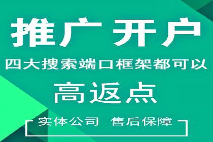某品牌SEM广告策略揭秘——代运营公司的智慧